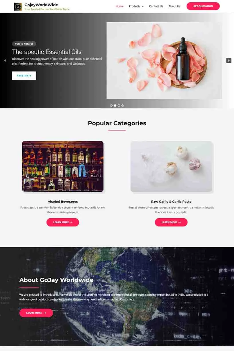 best website developer